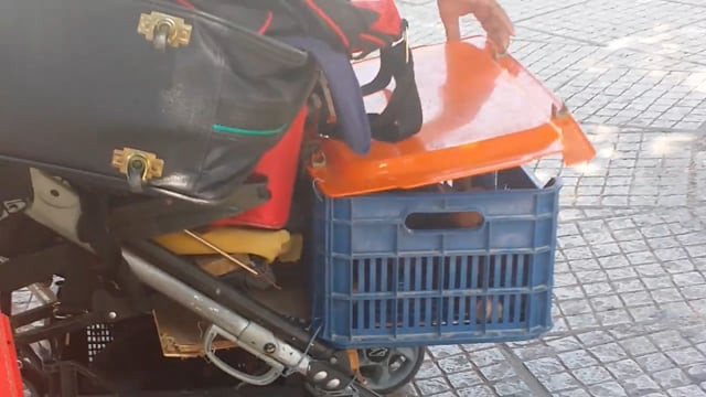 Ο Σ.Π.Α.Ζ. αδυνατεί λόγω οικονομικού αδιεξόδου να αναλάβει τα σκυλιά που κακοποιεί κάτοικος της Γλυφάδας 7-8-2018