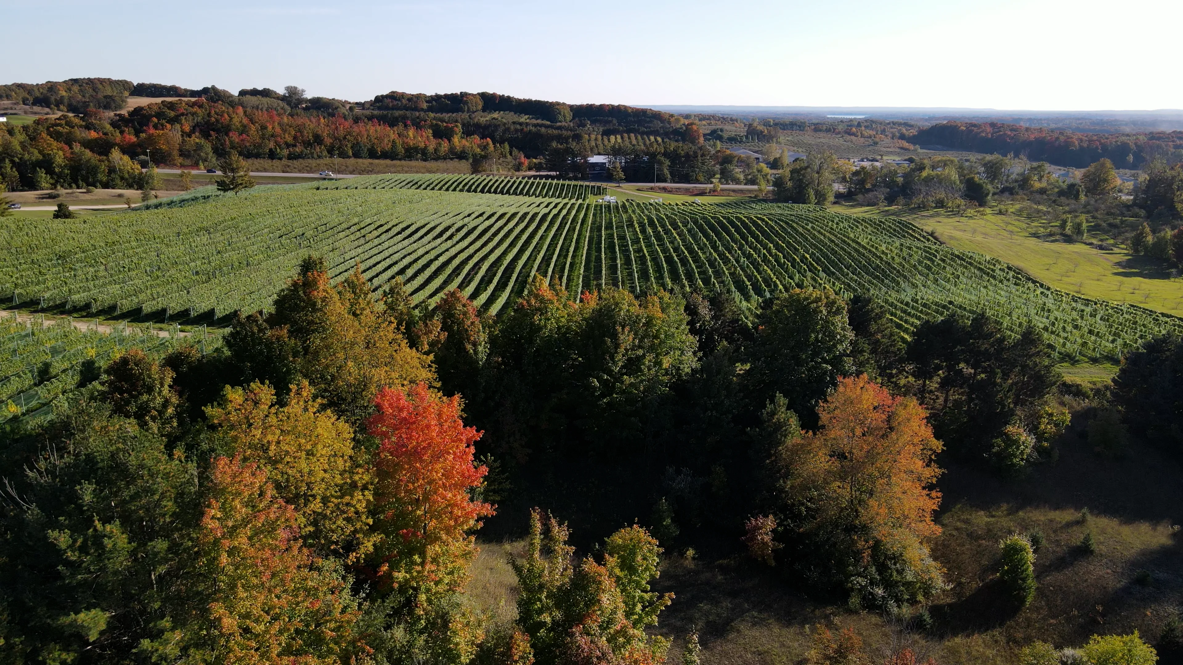 Leelanau Peninsula Winery