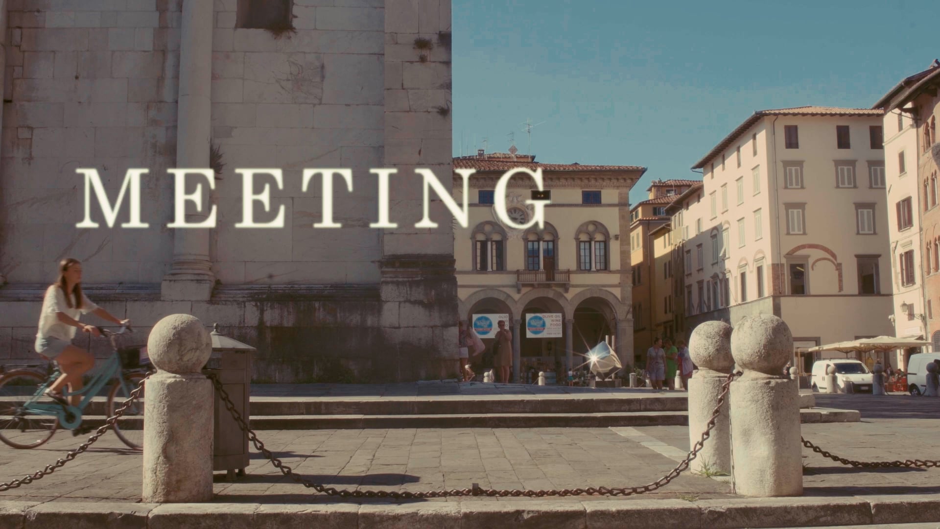THE MEETING