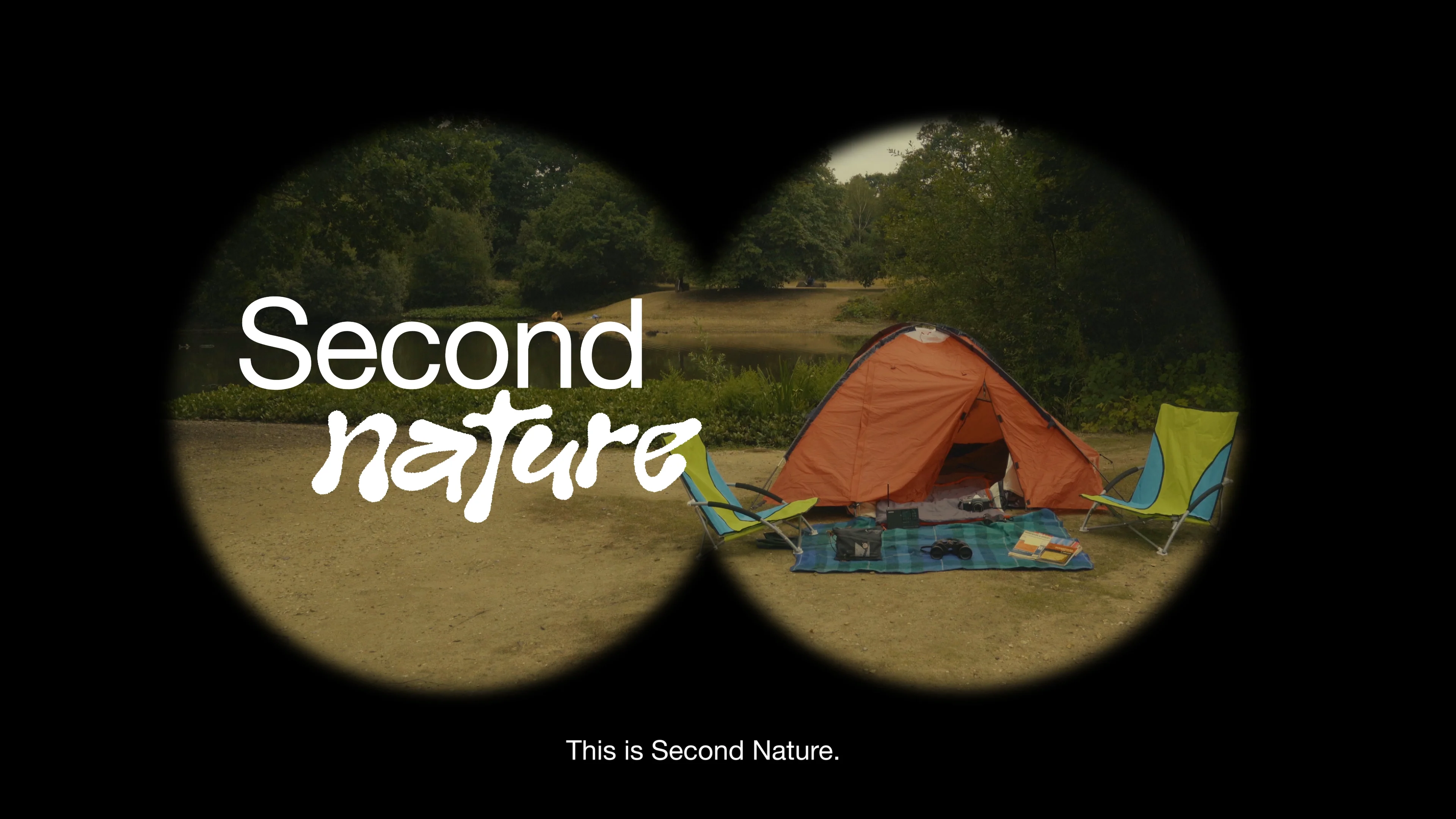 洋楽 W.A. Mathieu Second Nature 洋楽 W.A. Mathieu Second Nature Amazon.co.jp: Second Nature