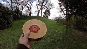 Volume F DVD_720_3-11-21