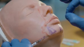 Anatomy Aesthetic Treatment Classes