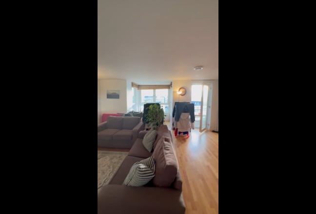 Video 1: