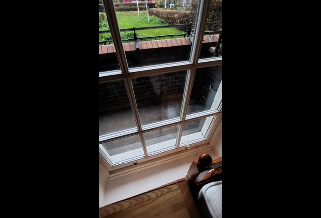 Video 1: Garden view of the building exterior