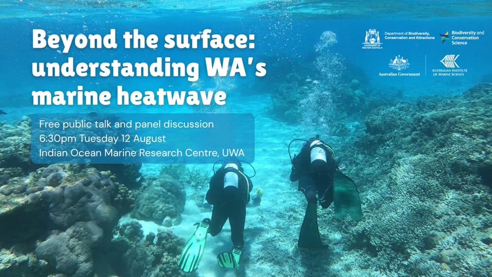Understanding WA's 2024-25 heatwave