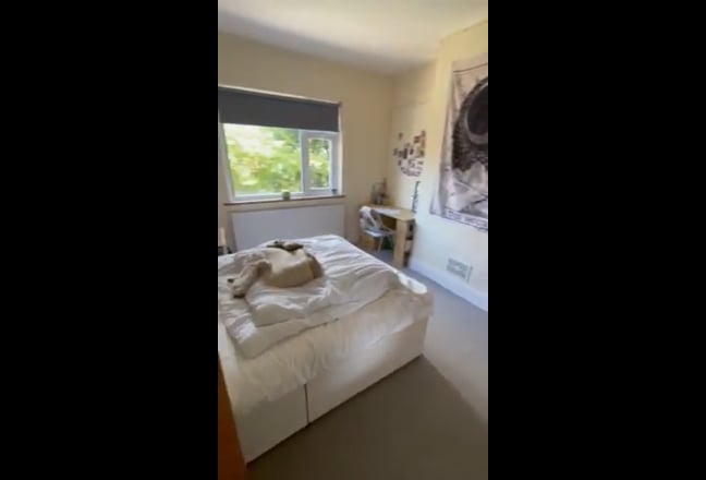 Video 1: