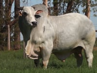 Lote S05