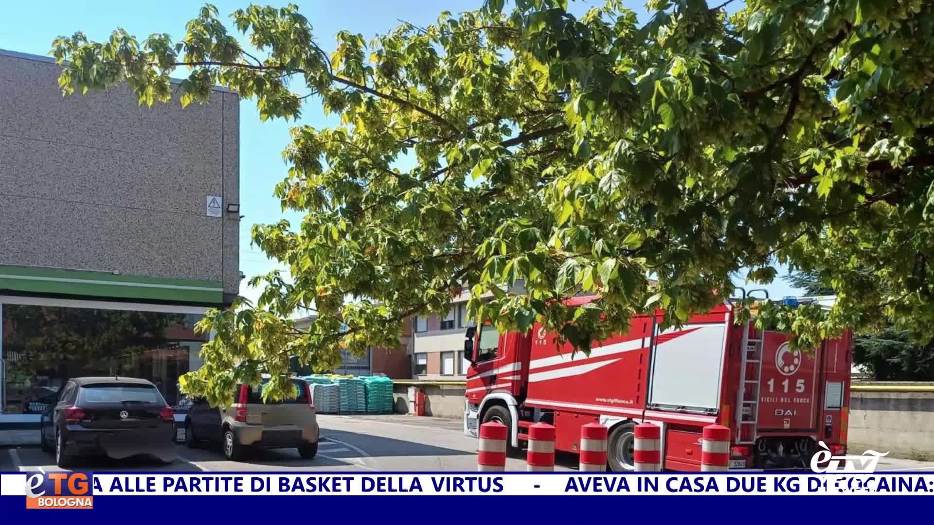 èTG –  Edizione Sera 12/08/2025