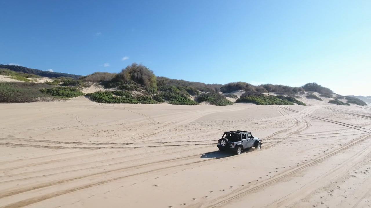 Grupo Rica: Pure Refreshment — Grupo Rica