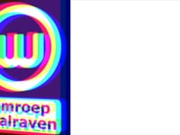 Speel Wilgendaal een open sportpark voor iedereen af
