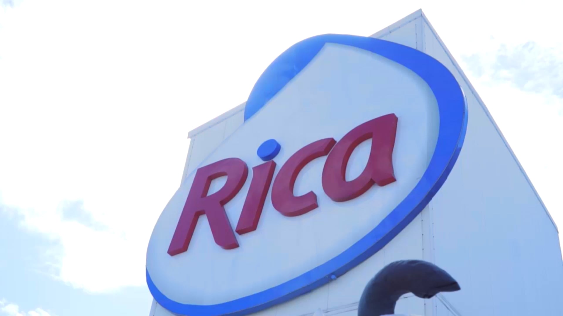 Still from the Grupo Rica brand spot