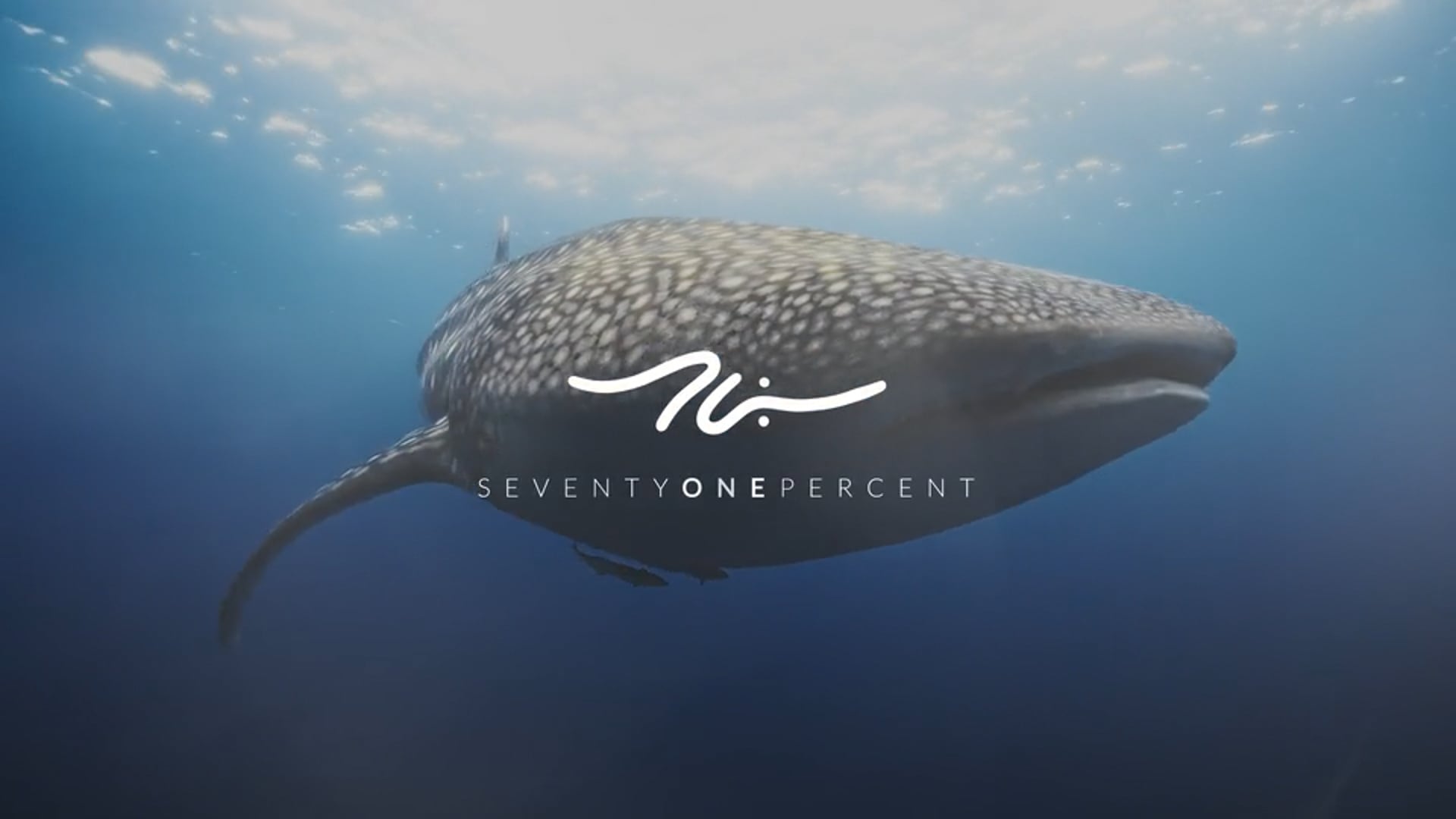 SeventyOnePercent - Image FIlm