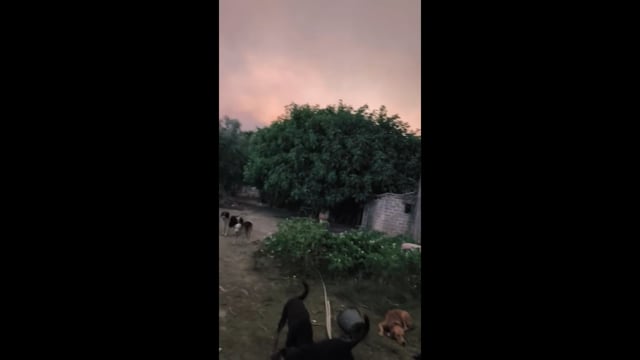 Αλισσός Αχαΐας: Το πύρινο μέτωπο κοντά στο καταφύγιο ζώων του Σπύρου Δανελάτου 12-8-2025