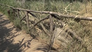 Un incendi crema 15 metres de matolls del passeig de Sant Martí d'Empúries