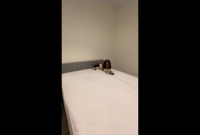 1 room available, Trowbridge Main Photo