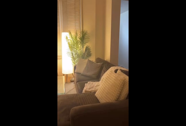 Video 1: