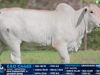 Lote 16