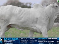 Lote 09