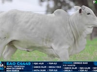Lote 05