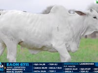 Lote 02