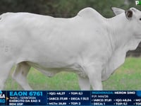 Lote 01