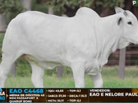 Lote ASP01