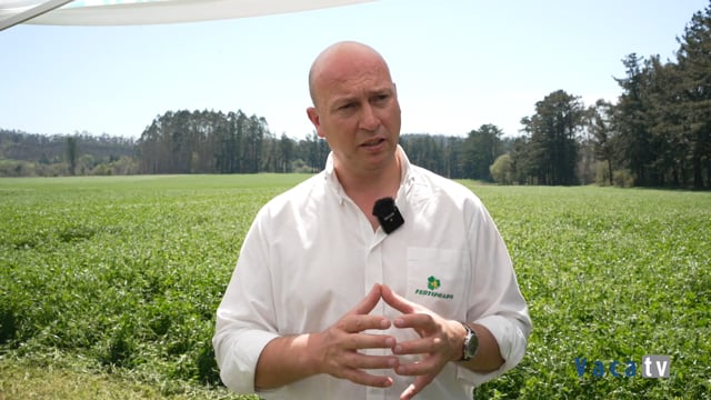 Fertiprado promueve el desarrollo de mejores plantas en la captación de nitrógeno con la capacidad de ser bioestimulantes