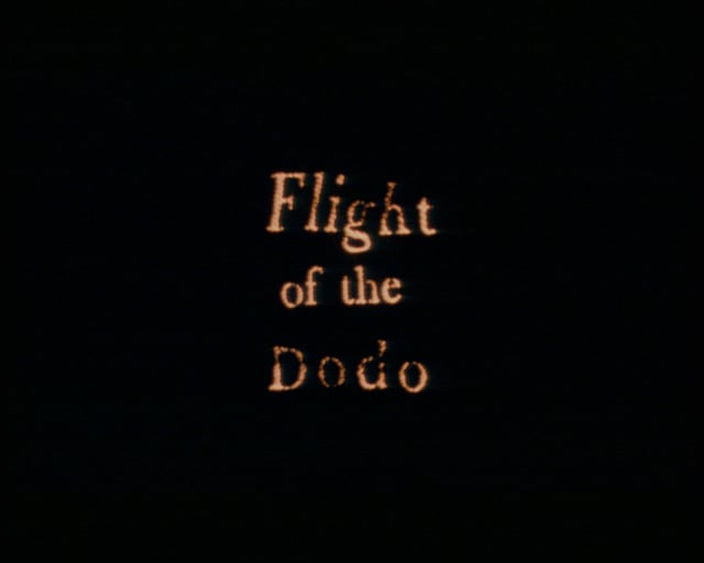 Thumbnail for The Flight of the Dodo