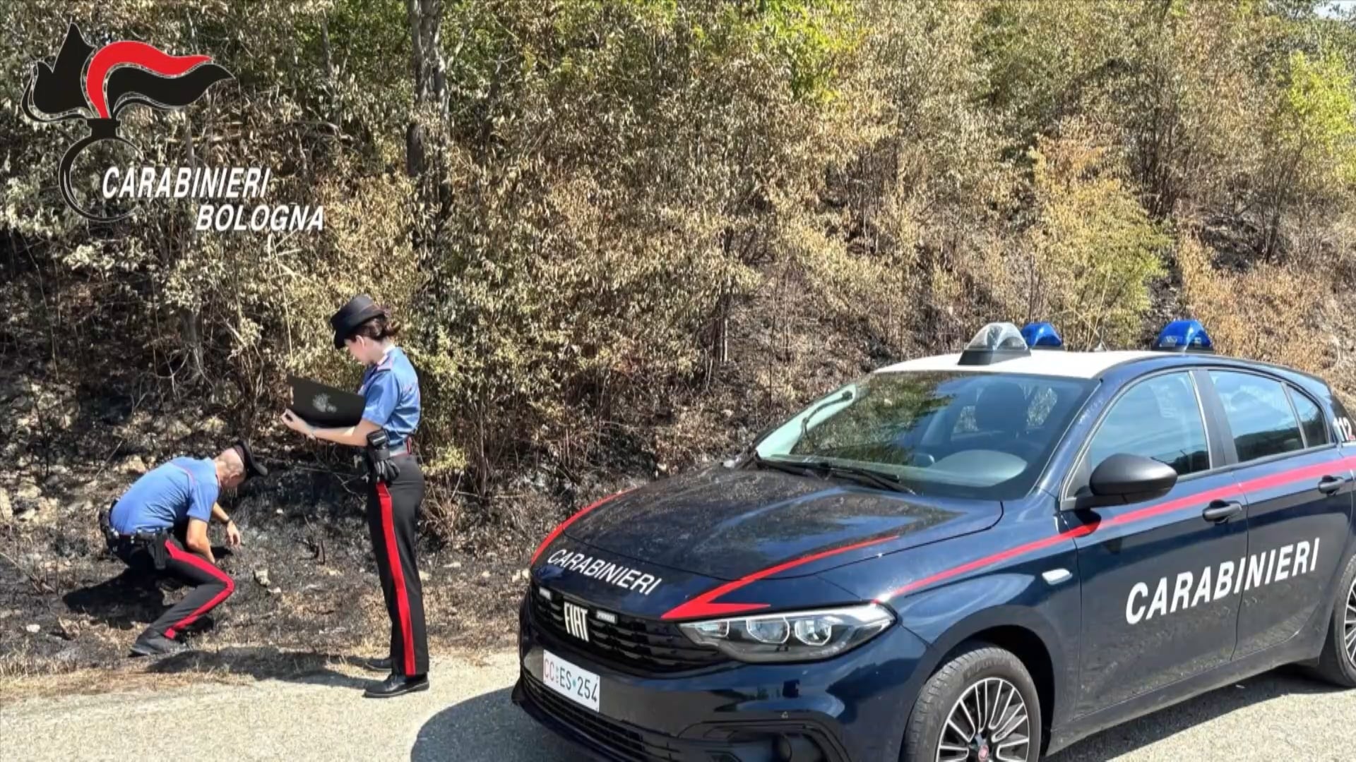 Vergato, piromane arrestato dai carabinieri dopo avere incendiato un mucchio di sterpaglie