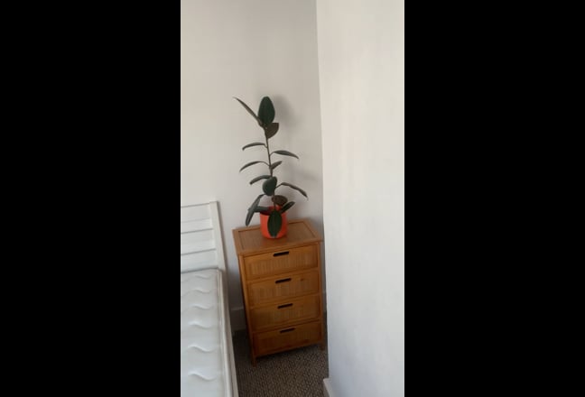 Video 1: