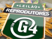 VT TABG4 Reprodutores