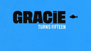 Related Embedded Video Item Thumbnail
