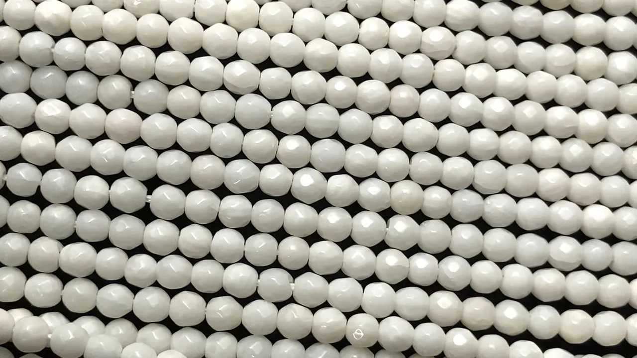 中型ホワイトサンゴ 自然形状 中型ホワイトサンゴ 自然形状