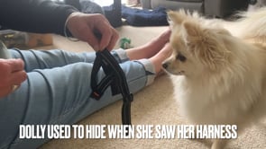 Harness Challenges