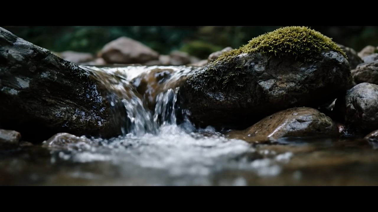 https://i.vimeocdn.com/video/2047997215-37f058f3dc2ffa272698cc923da60137abd41e05a89ef3516229e078ff003bf1-d