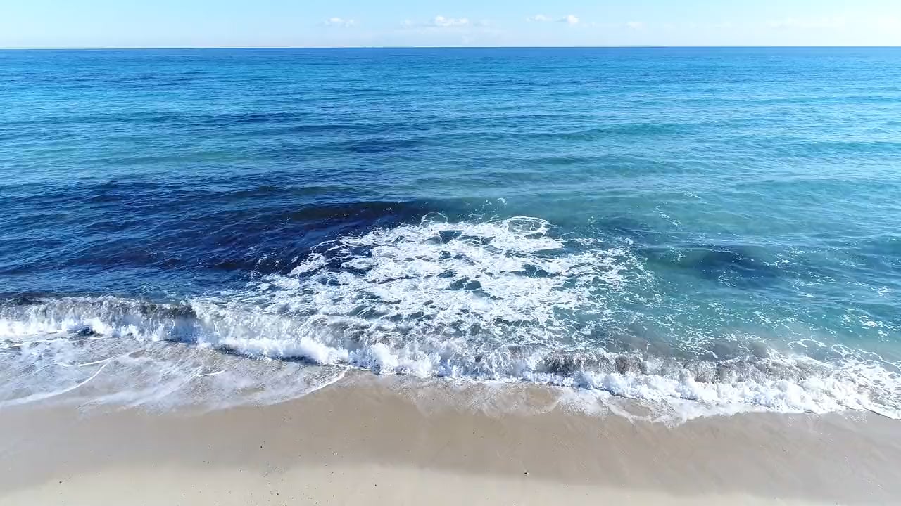 https://i.vimeocdn.com/video/2048093302-a2ee26bcaca1d2b8cb1f9addf9b0a04807626cb354f92c420be89e1c16ed46ab-d