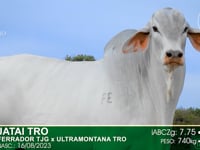 Lote 02