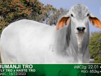 Lote 05