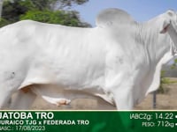 Lote 09