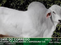 Lote 40