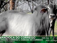 Lote 48