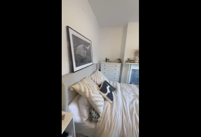 Video 1: