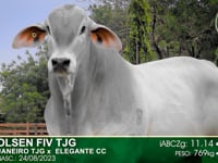 Lote 72