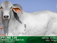Lote 80