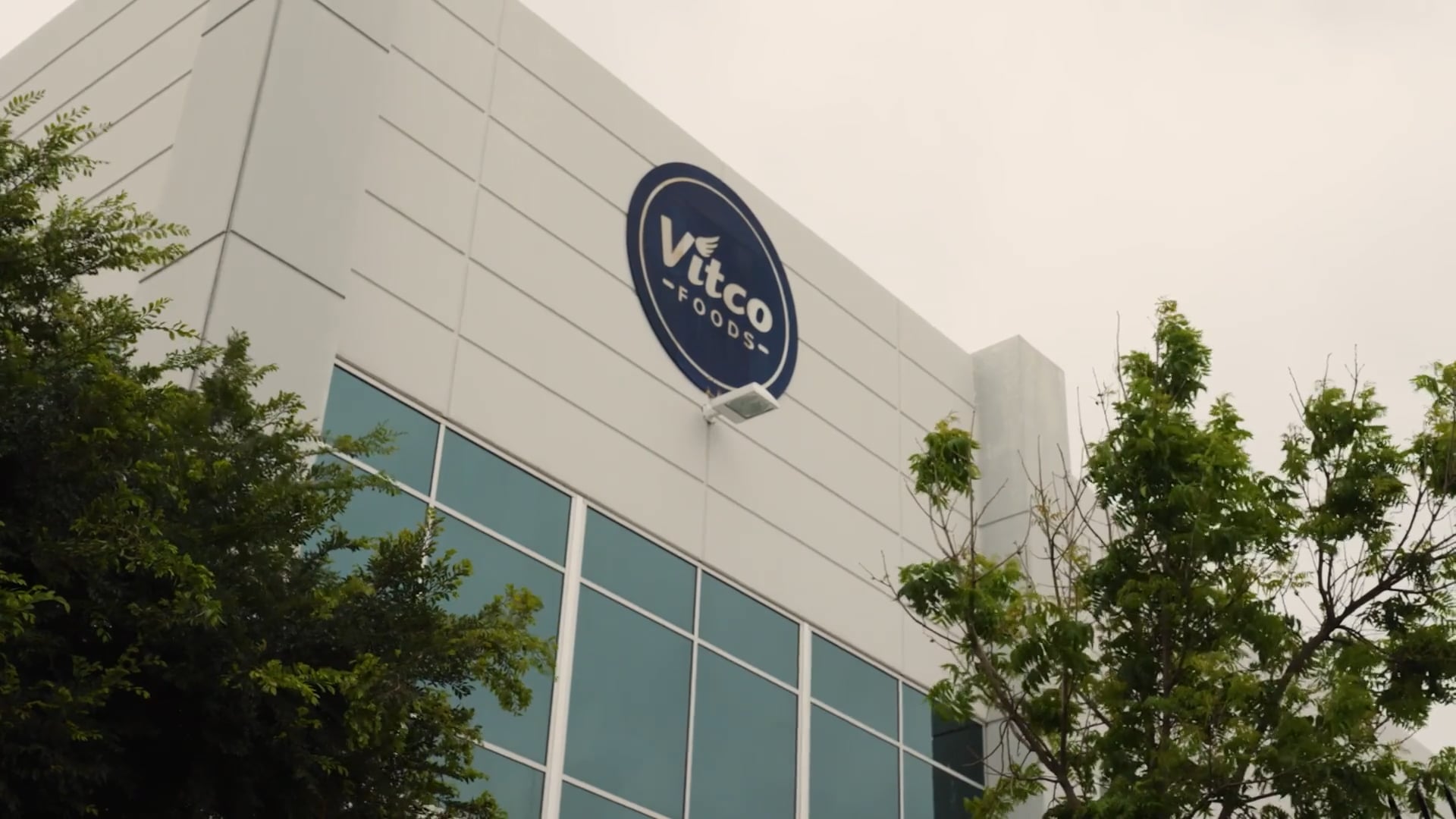[Official] Vitco Foods: Culture Activation | Videos & Movies on Vimeo