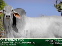 Lote 90