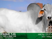 Lote 92