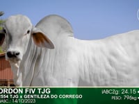 Lote 93