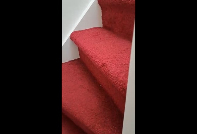 Video 1: