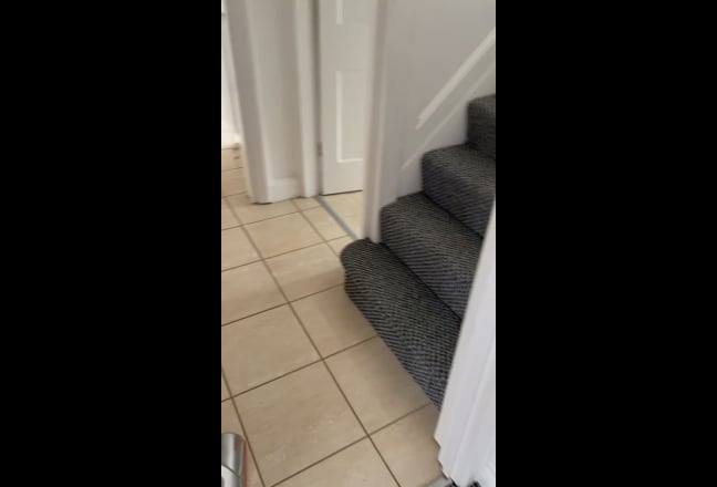 Video 1: